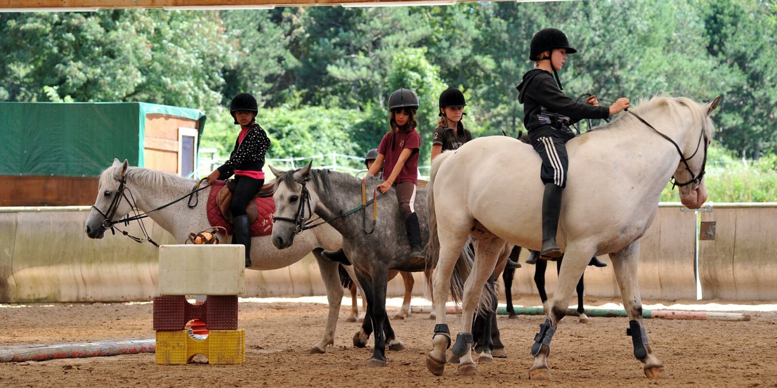 Stages vacances Poney